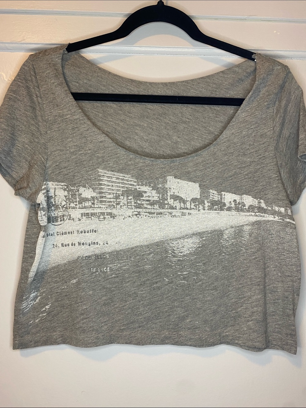 American Eagle Outfitters Light Grey  Graphic Crop Top - L